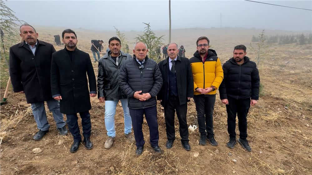 Yeşeren Kayseri'de Yahyalı'ya bin 200 fidan dikildi