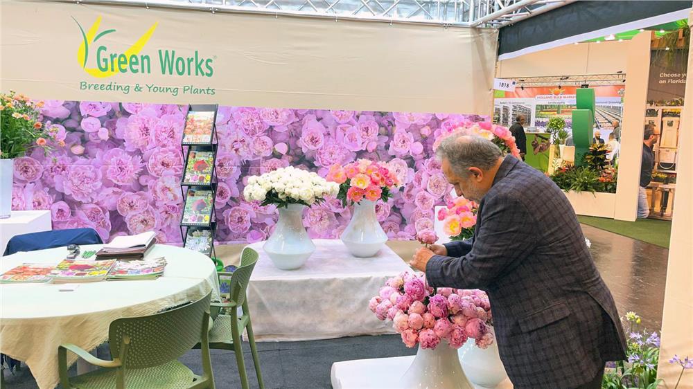 2026 yılında Talas