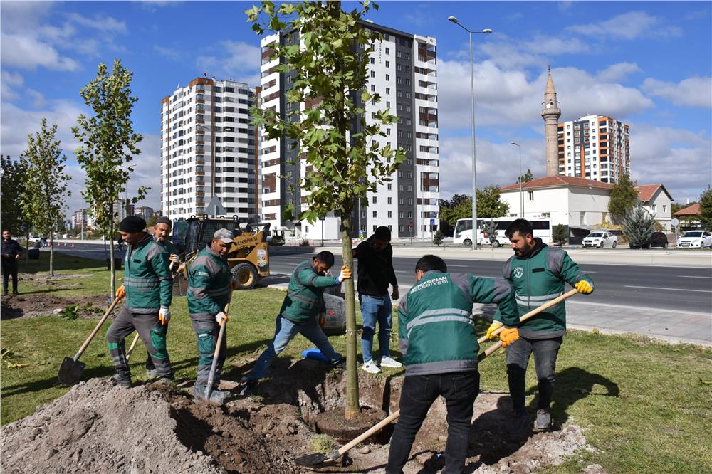 Kocasinan Belediyesi, ağaç dikim sezonunu açtı