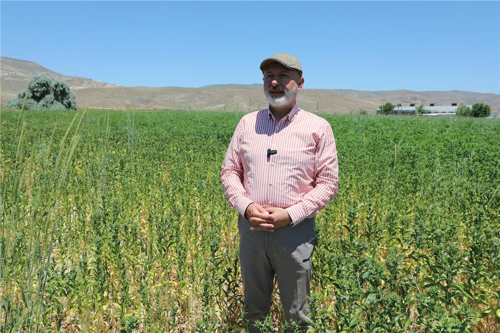 Kocasinan'da toprağın bereketi sofralara ulaştırılıyor
