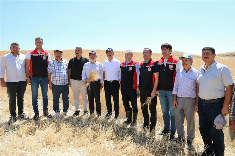 Kocasinan'da tarım buluşması hasatla taçlandı