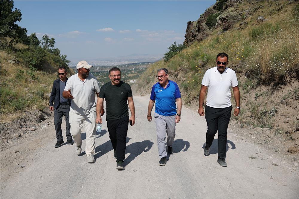 Ortaseki Ormanları
